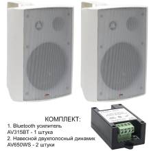 Комплект из двух навесных динамиков и усилителя AV315BT + 2xAV650WS