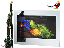 Smart телевизор в зеркале AVS325SMFM (AVS325SM Mirror HB)