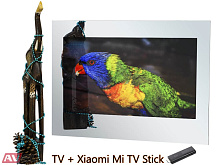Smart телевизор в зеркале AVS325SM (Magic Mirror HB) + Xiaomi Mi TV Stick