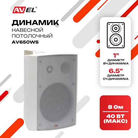 Навесной потолочный двухполосный динамик AV650WS