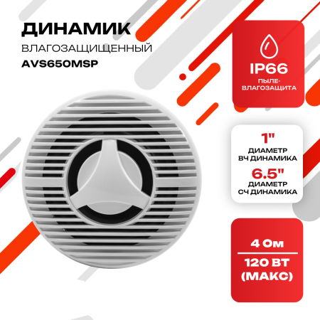 Влагозащищенный динамик AVS650MSP