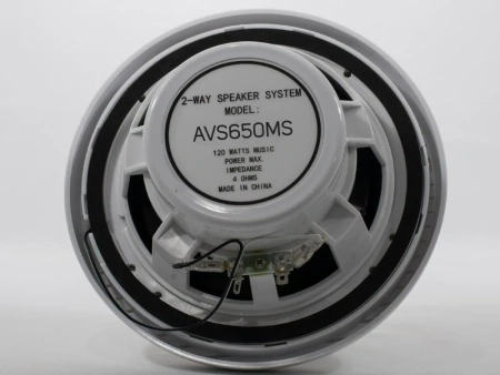 Комплект из двух влагозащищенных динамиков, усилителя и акустического кабеля AVS140 + 2xAVS650MSP + AV10AC