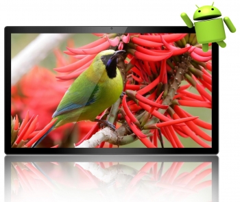 Медиакомплекс AVS1199AN на базе Android