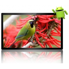 Медиакомплекс AVS1199AN на базе Android