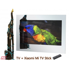 Smart телевизор в зеркале AVS320SM (Magic Mirror) + Xiaomi Mi TV Stick